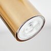 Javel Plafones, Spot techo dorado, 5 luces
