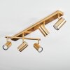 Javel Plafones, Spot techo dorado, 5 luces
