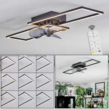 Hyacinthe Plafones, lámpara ventilador de techo LED Cromo, Negro, 1 luz, Mando a distancia