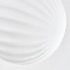 Chehalis Plafones, Luminarias esféricas Blanca, 6 luces