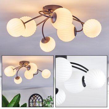 Chehalis Plafones, Luminarias esféricas Blanca, 6 luces