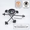 Chehalis Plafones, Luminarias esféricas 62 cm Colores ámbar, Ahumado, 6 luces