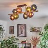 Gastor Plafones, Luminarias esféricas dorado, Negro, 8 luces