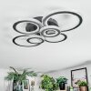 Ronak Plafones LED Negro, 1 luz, Mando a distancia