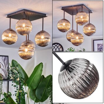 Chehalis Plafones, Luminarias esféricas Ahumado, 5 luces