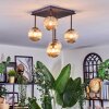 Chehalis Plafones, Luminarias esféricas Colores ámbar, 5 luces