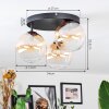 Chehalis Plafones, Luminarias esféricas 34 cm Colores ámbar, Transparente, 3 luces