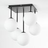 Chehalis Plafones, Luminarias esféricas Blanca, 5 luces