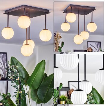 Chehalis Plafones, Luminarias esféricas Blanca, 5 luces