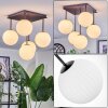 Chehalis Plafones, Luminarias esféricas Blanca, 5 luces