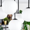 Chehalis Plafones, Luminarias esféricas Blanca, 5 luces