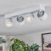Narel Plafones, Spot techo LED Blanca, 4 luces