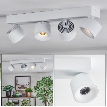 Narel Plafones, Spot techo LED Blanca, 4 luces