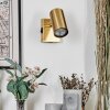 Javel Apliques, Spot de pared dorado, 1 luz