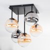 Chehalis Plafones, Luminarias esféricas Colores ámbar, Transparente, Ahumado, 5 luces