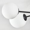 Chehalis Plafones, Luminarias esféricas Blanca, 6 luces