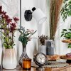 Fallhagen Apliques, Spot de pared Negro, 1 luz