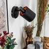 Fallhagen Apliques, Spot de pared Negro, 1 luz