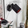 Fallhagen Apliques, Spot de pared Negro, 1 luz