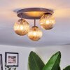 Chehalis Plafones, Luminarias esféricas Colores ámbar, 3 luces