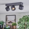 Narel Plafones, Spot techo LED Negro, 3 luces