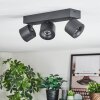 Narel Plafones, Spot techo LED Negro, 3 luces