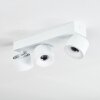 Narel Plafones, Spot techo LED Blanca, 3 luces