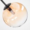 Chehalis Plafones, Luminarias esféricas Colores ámbar, Transparente, 5 luces