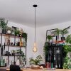 Sydan Lámparas suspendidas, Lámparas colgantes Crudo, Negro, 1 luz