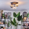 Chehalis Plafones, Luminarias esféricas 30 cm Colores ámbar, Transparente, Ahumado, 3 luces