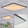 Barullu Plafones, Panel LED Negro, Blanca, 1 luz