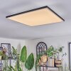 Barullu Plafones, Panel LED Negro, Blanca, 1 luz