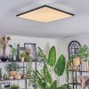 Barullu Plafones, Panel LED Negro, Blanca, 1 luz