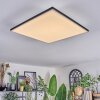 Barullu Plafones, Panel LED Negro, Blanca, 1 luz