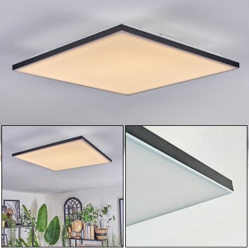 Barullu Plafones, Panel LED Negro, Blanca, 1 luz
