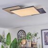 Barullu Plafones, Panel LED Color madera, Negro, Blanca, 1 luz