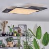 Barullu Plafones, Panel LED Negro, Blanca, 1 luz