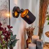 Fallhagen Apliques, Spot de pared Negro, 1 luz