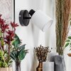 Fallhagen Apliques, Spot de pared Negro, 1 luz