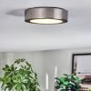 Tavin Plafones LED Níquel-mate, 1 luz
