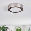 Tavin Plafones LED Níquel-mate, 1 luz