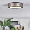 Tavin Plafones LED Níquel-mate, 1 luz