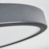 Finsrud Plafones, Panel LED Negro, 1 luz