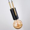 Veria Lámparas suspendidas, Lámparas colgantes Latón, Negro, 4 luces