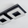 Walon Plafones LED Negro, 1 luz