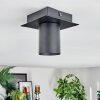 Udena Plafones LED Negro, 1 luz