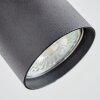 Udena Plafones LED Negro, 1 luz
