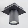 Udena Plafones LED Negro, 1 luz