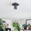 Udena Plafones LED Negro, 1 luz
