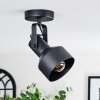 Tylar Plafones, Spot techo Negro, 1 luz